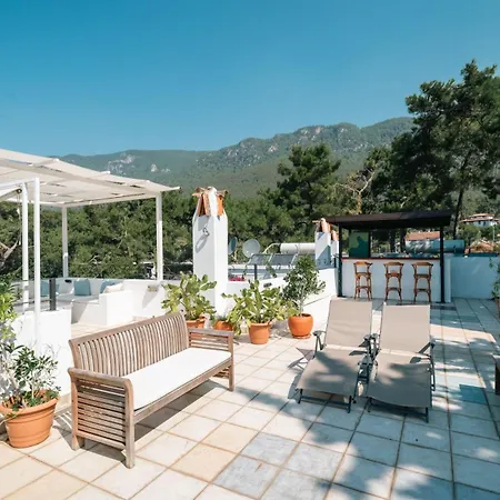 Totelya אקיאקה