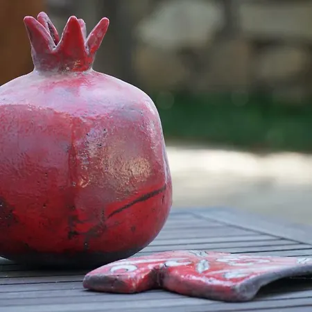 Totelya * אקיאקה