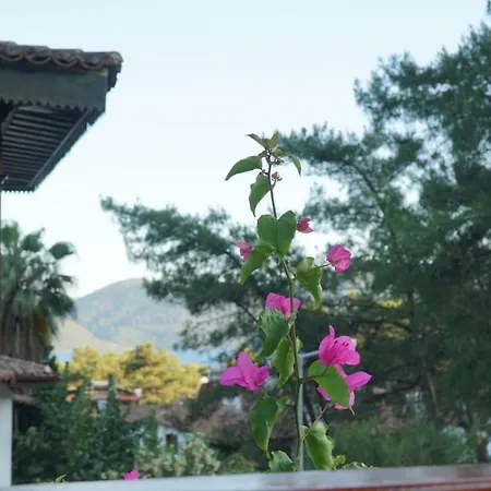 Totelya בית אירוח *