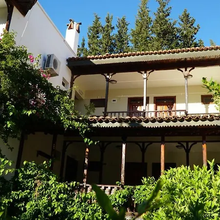 Totelya אקיאקה