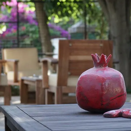 Totelya Akyaka (Mugla)