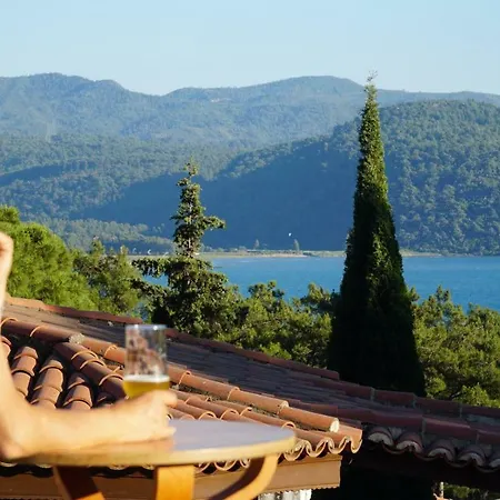 Homestay Totelya