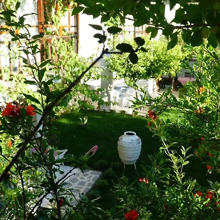 Totelya Privat bolig *