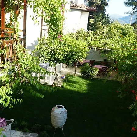 Totelya Homestay